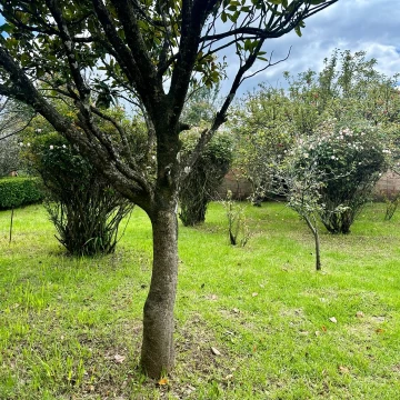 En Venta Terreno Comercial o Residencial frente Los Encinos