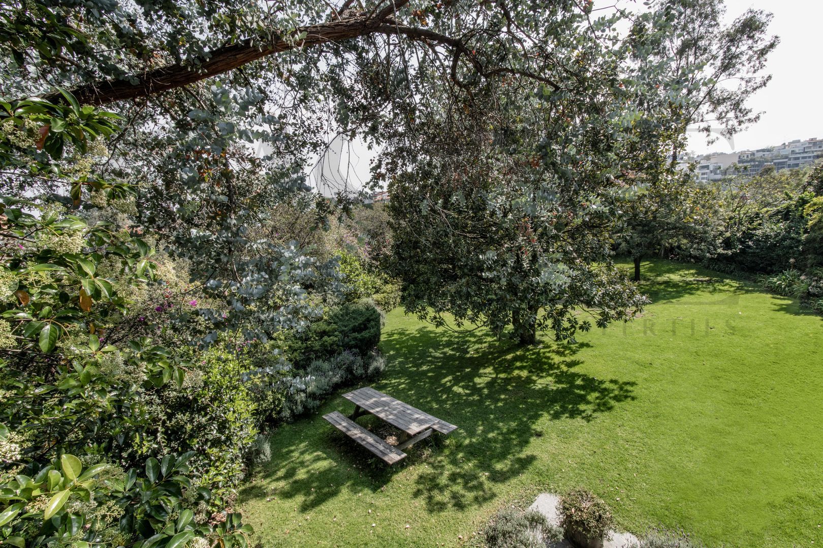 BOSQUES MA-9.jpg