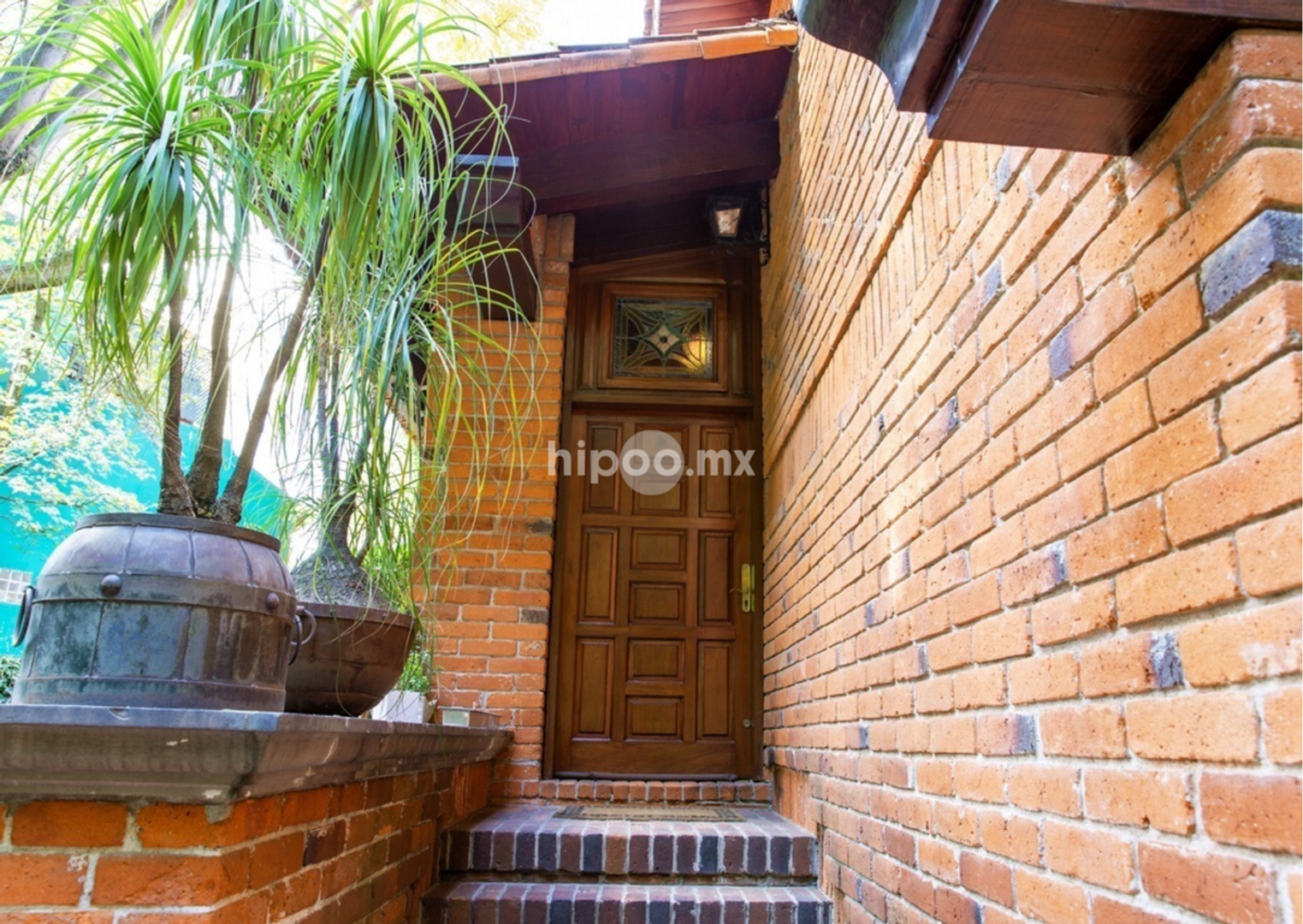 image 37
