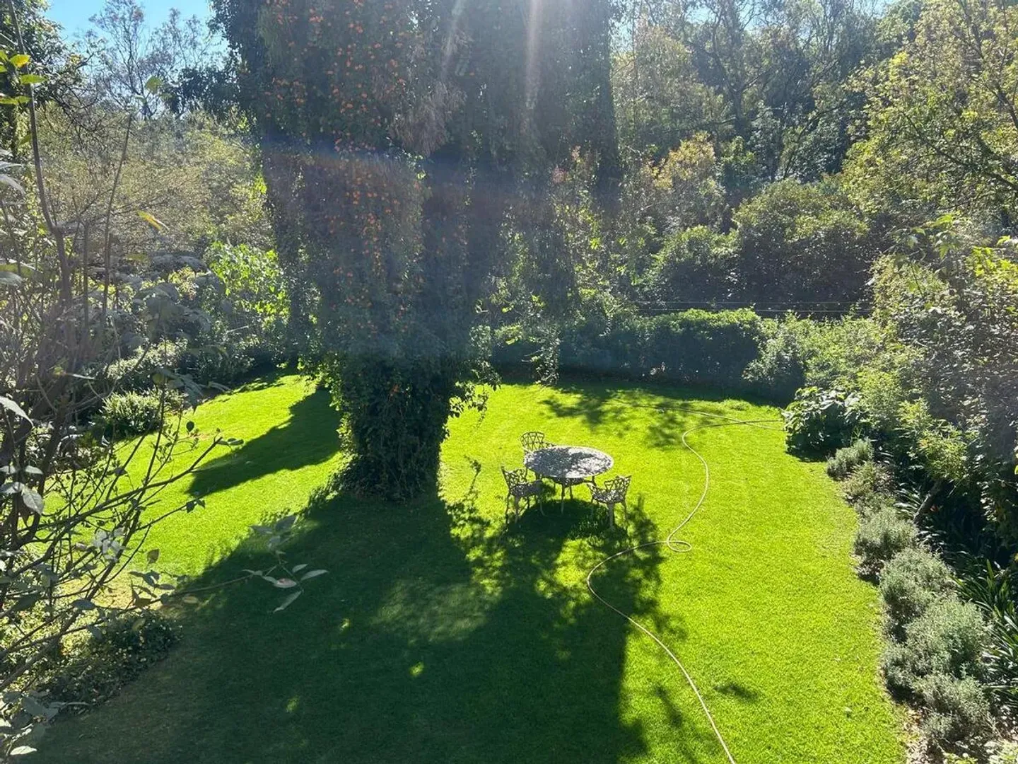 IMG_5377.webp