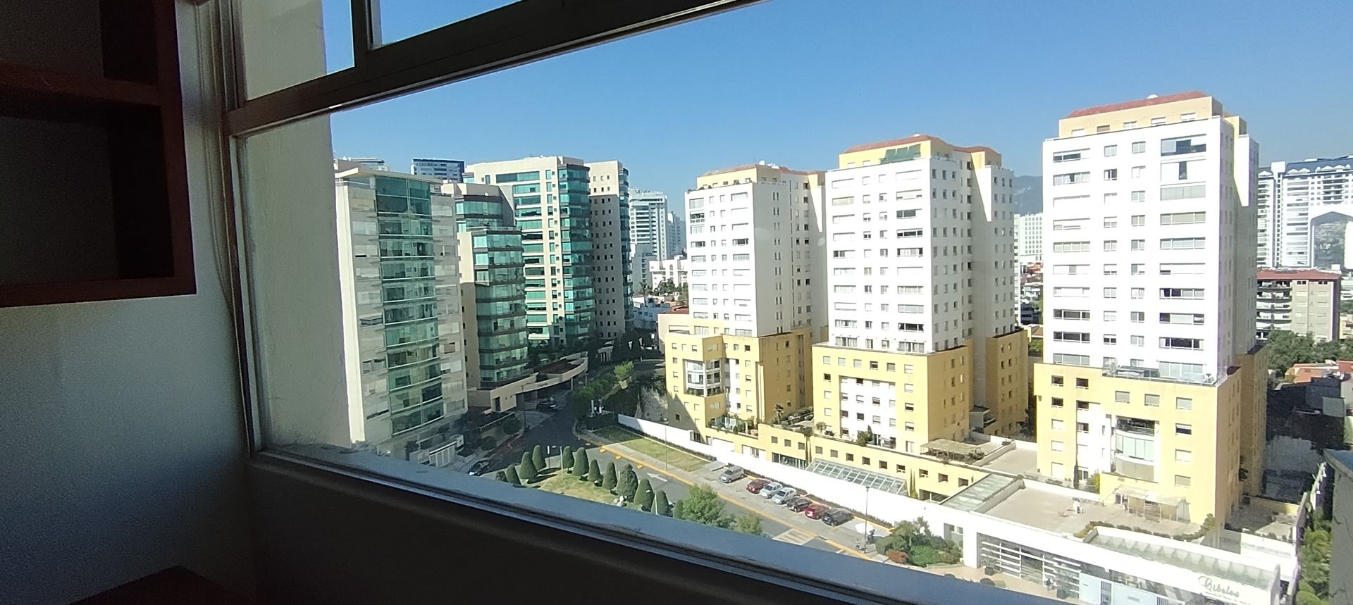 IMG_20251107_102638.jpg