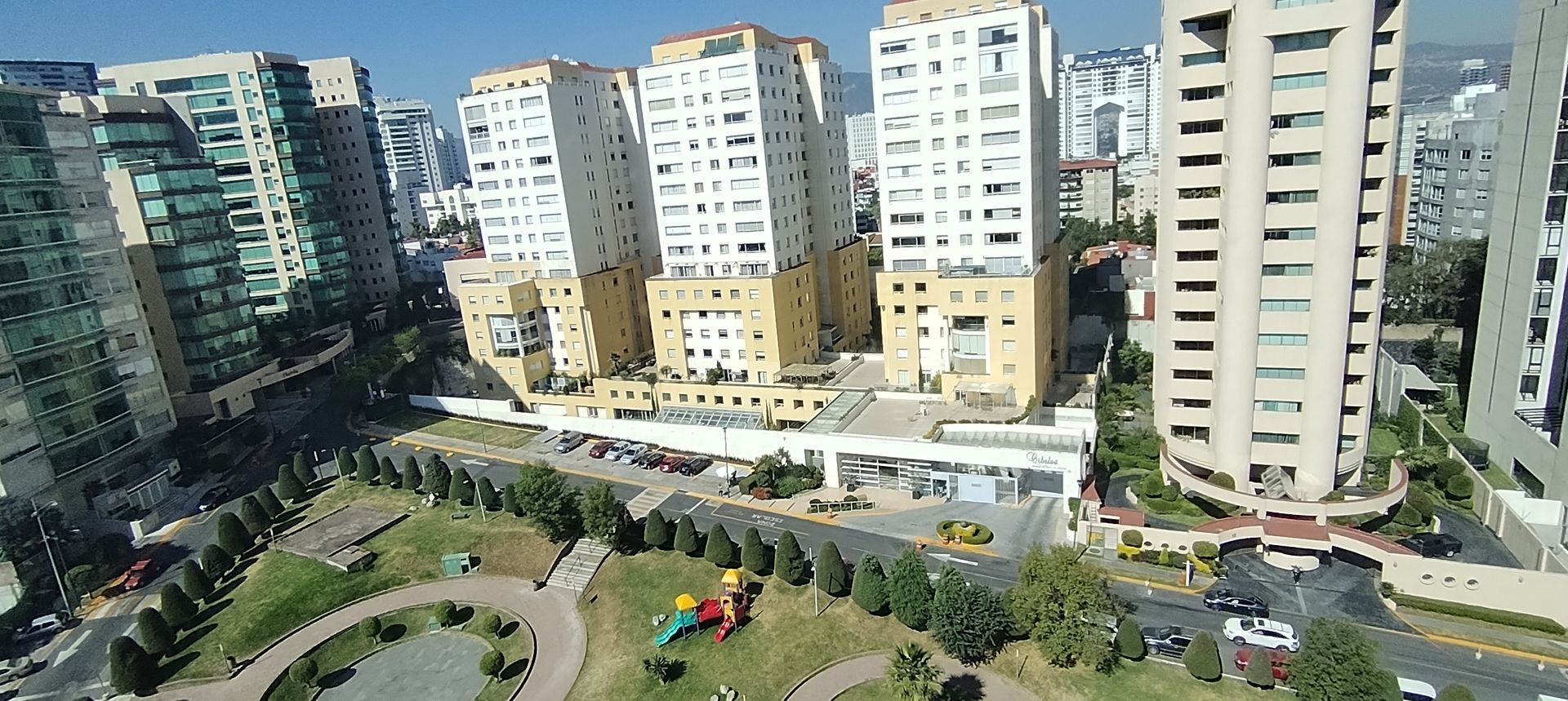 IMG_20251107_102644.jpg
