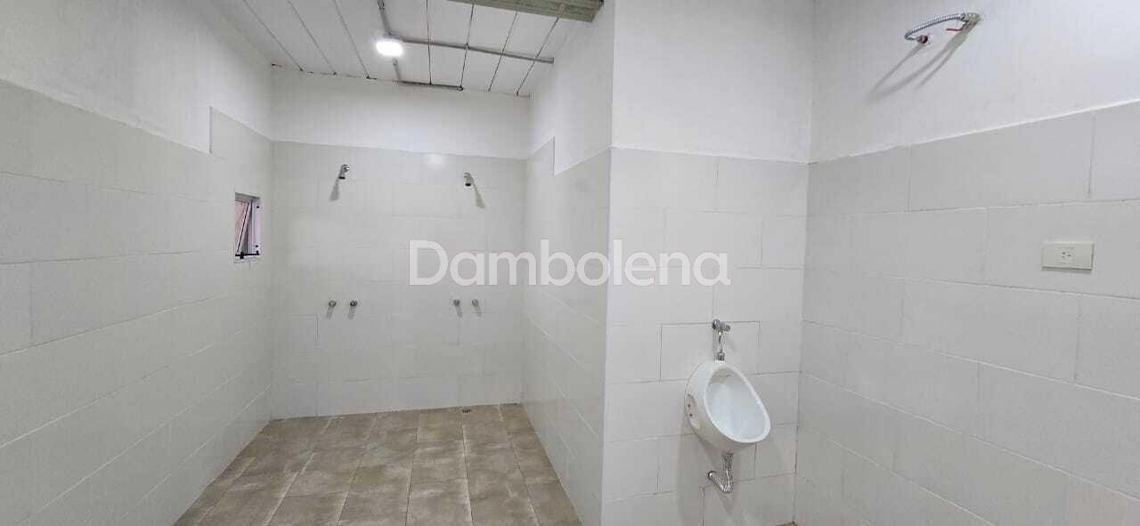 image 36