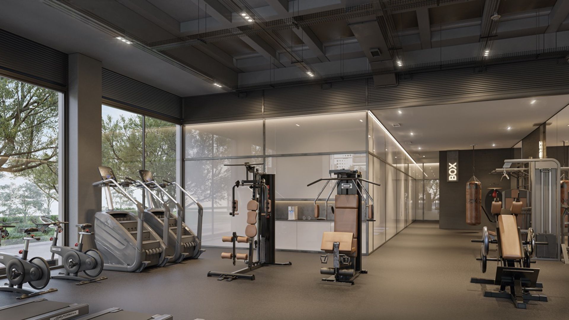 7 Gymfrontal Large.jpeg