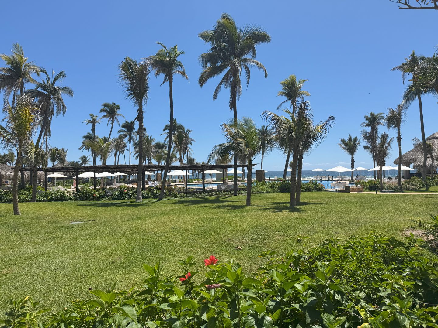 jardin.jpg