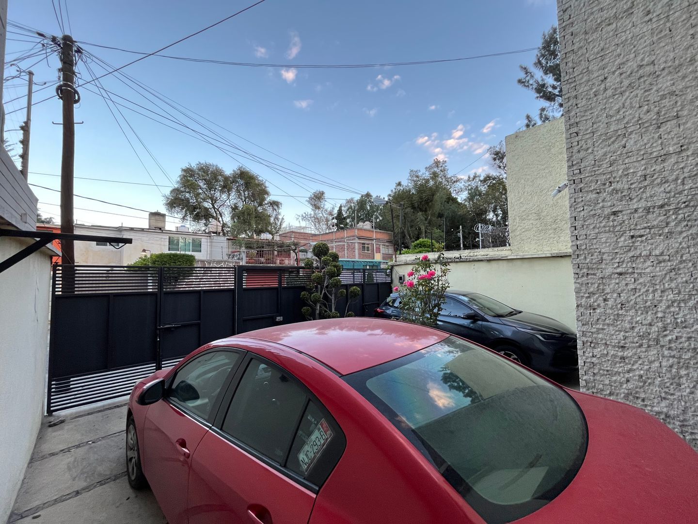 IMG_3061.jpeg