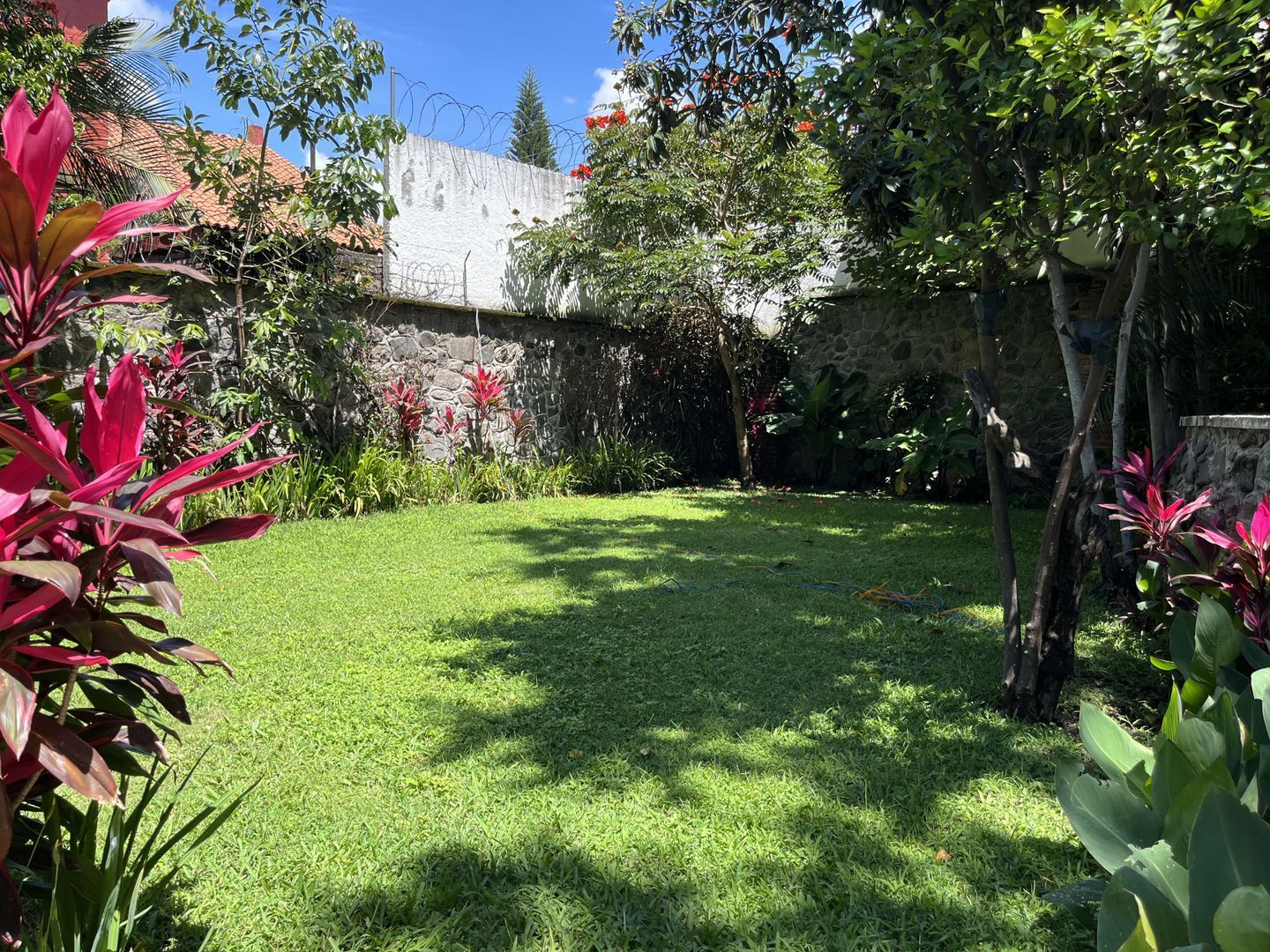 JARDIN GRANDE 2.HEIC