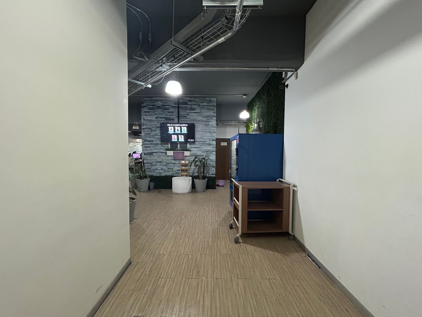 IMG_1424.jpeg