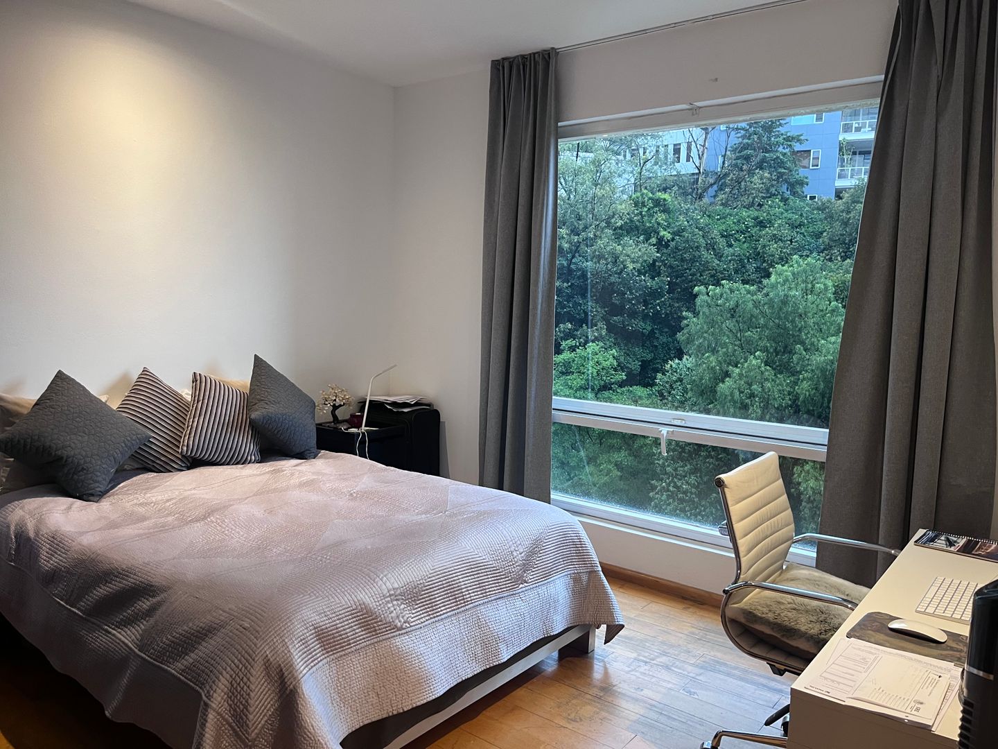 IMG_6362.jpeg