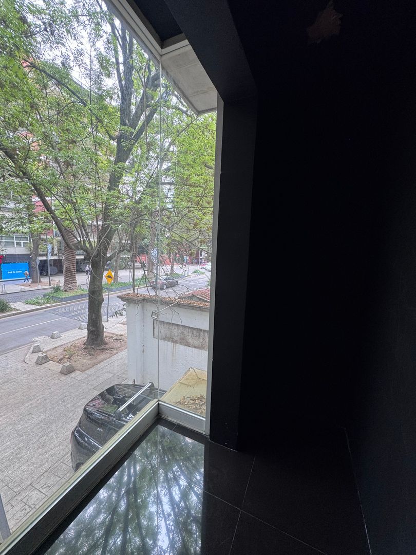 IMG_4718.jpeg