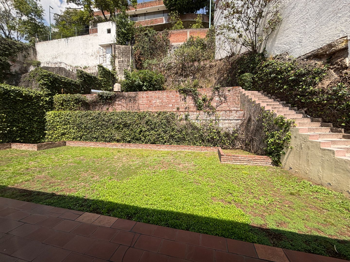 IMG_8236.jpeg