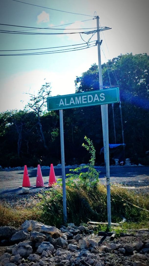 Imagen de WhatsApp 2025-12-01 a las 16.00.29_68256ed7.jpg