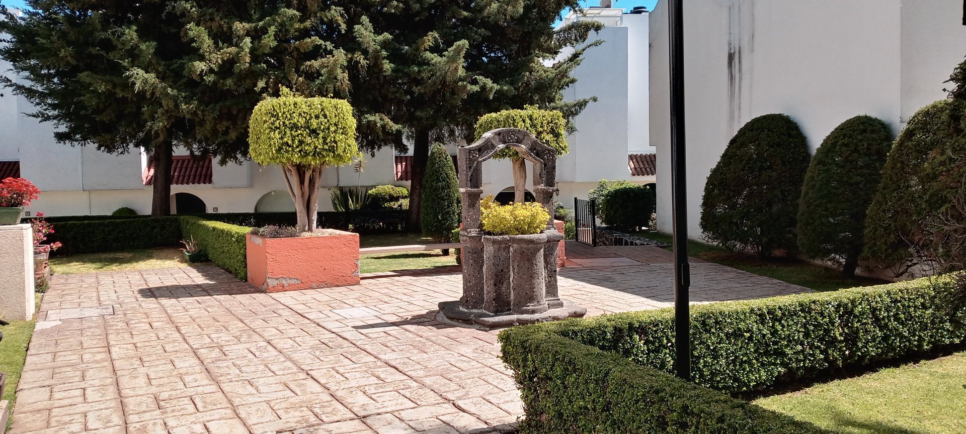 20210218_120329_HDR.jpg