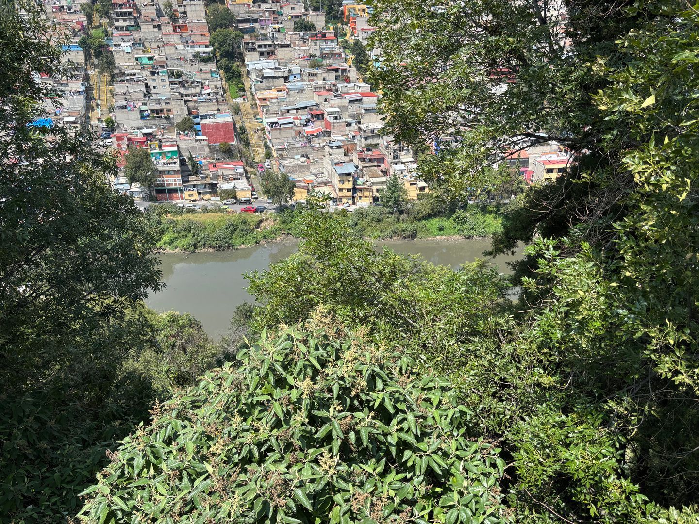 IMG_1682.jpeg