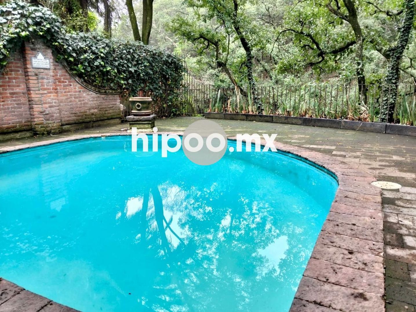 Alberca 1.jpeg