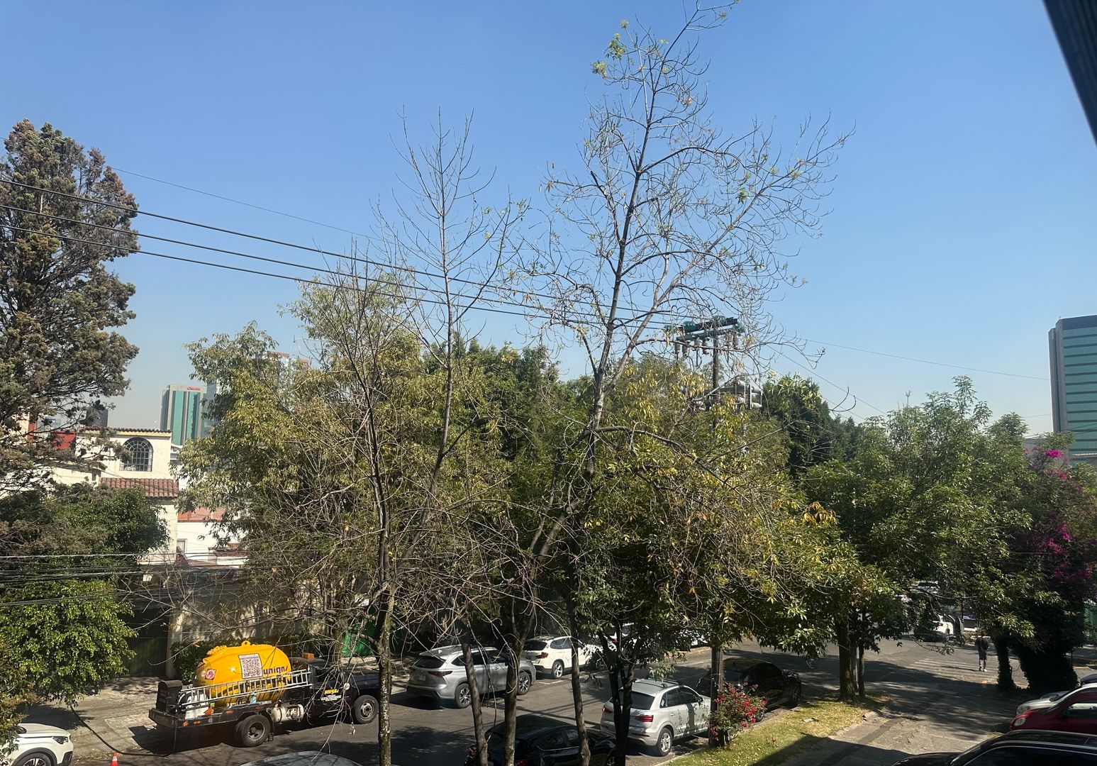 IMG_4827.jpeg