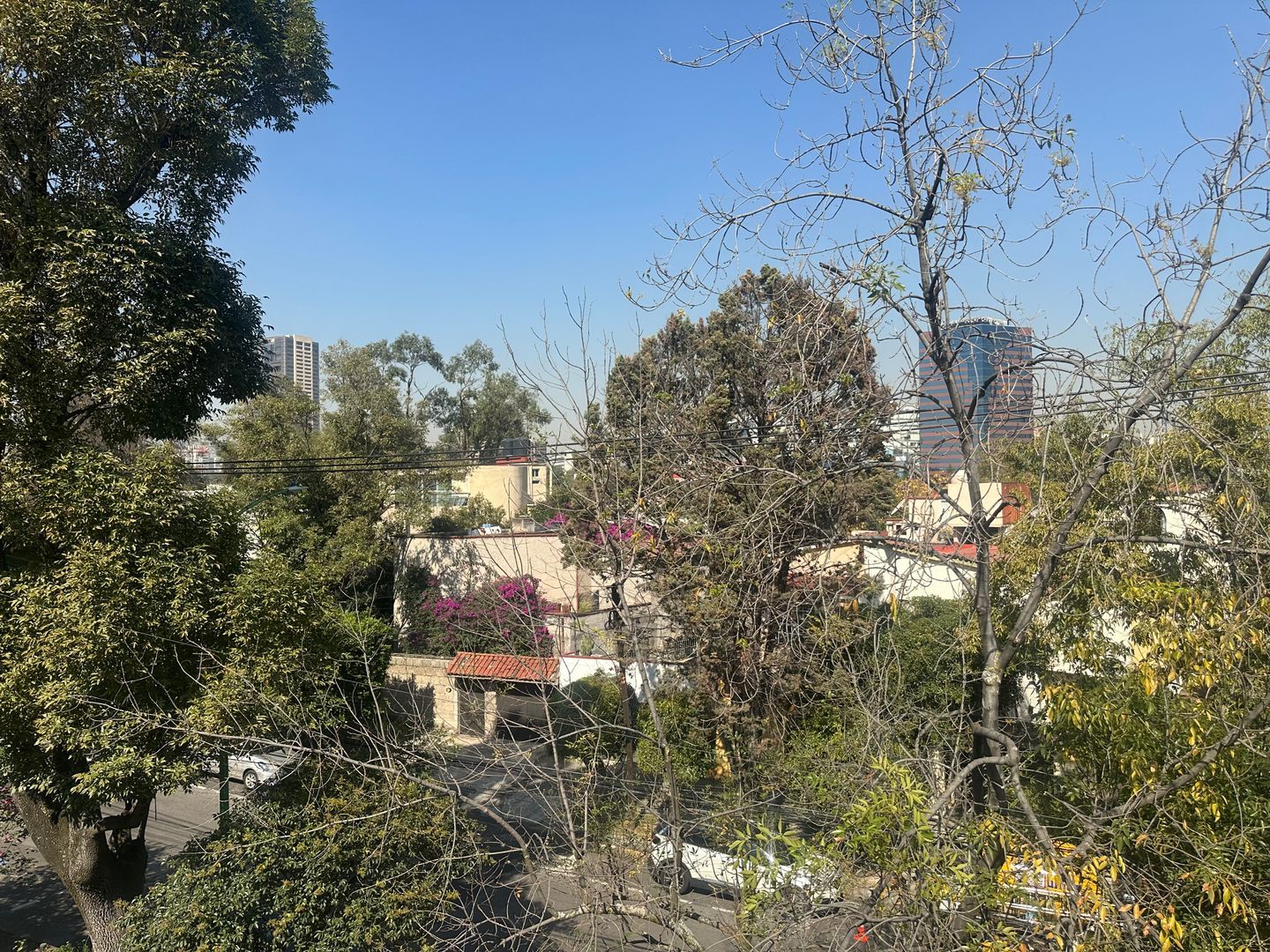 IMG_4817.jpeg