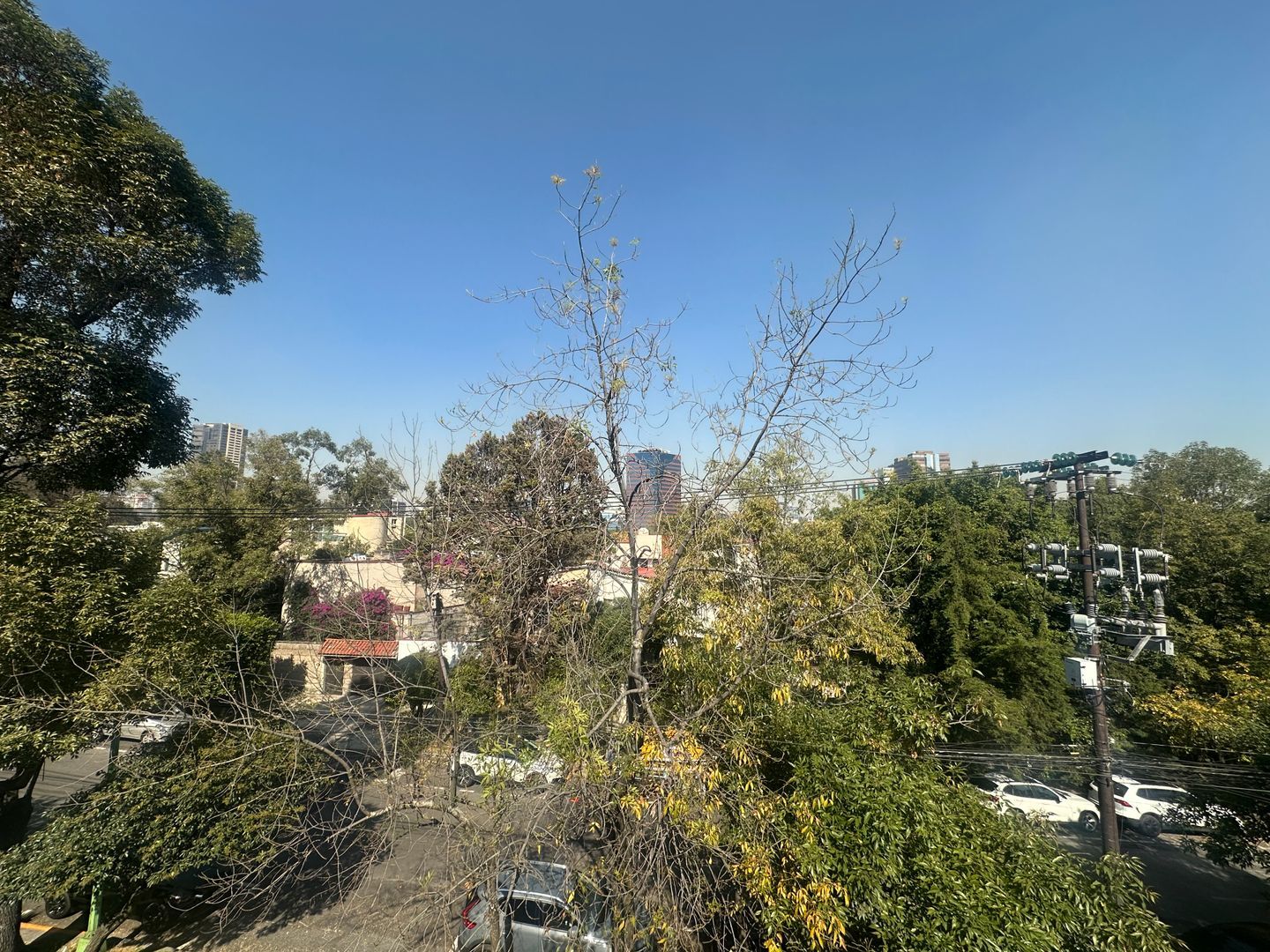 IMG_4816.jpeg