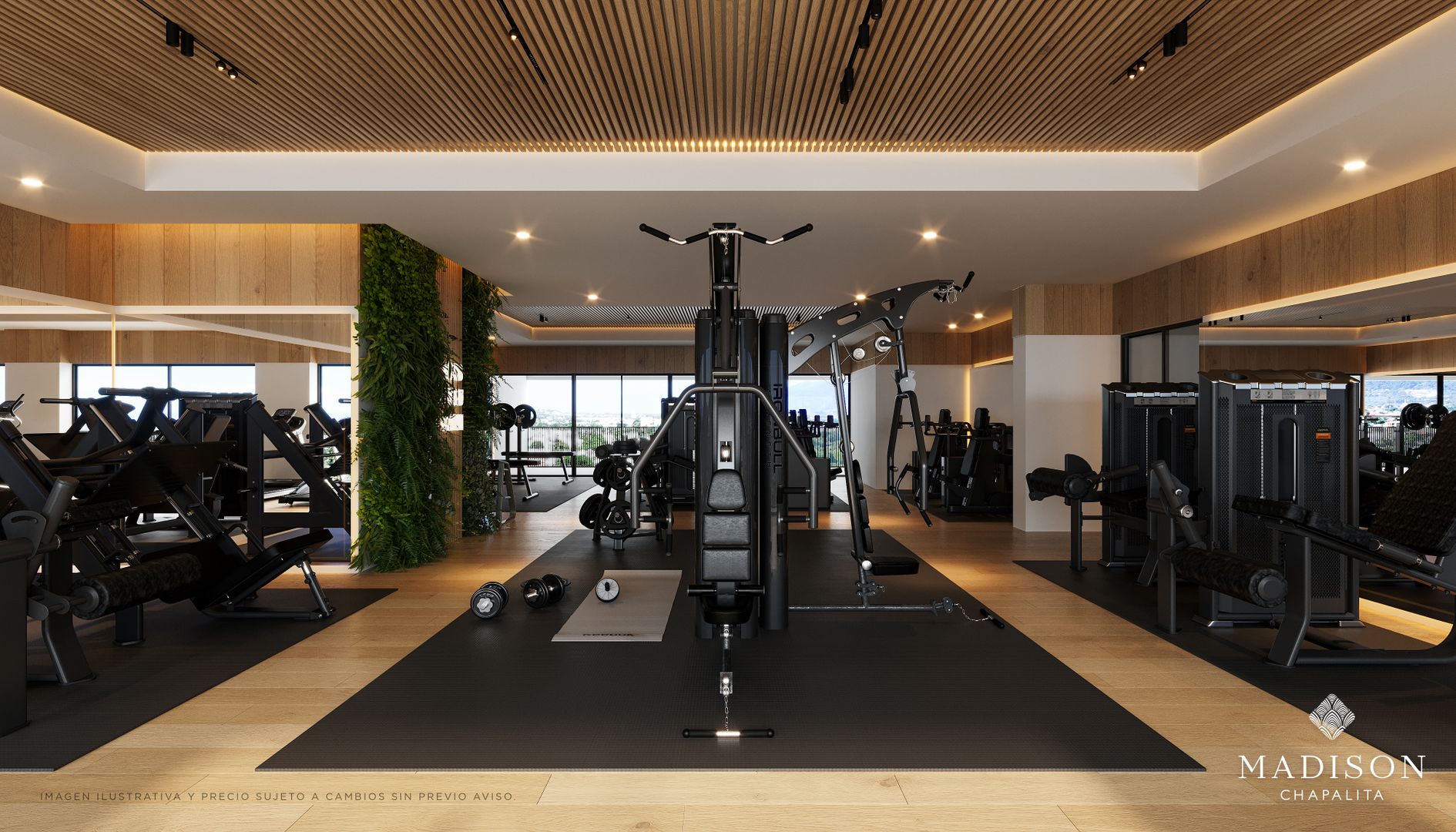 Madison-Chapalita-Gym.JPEG