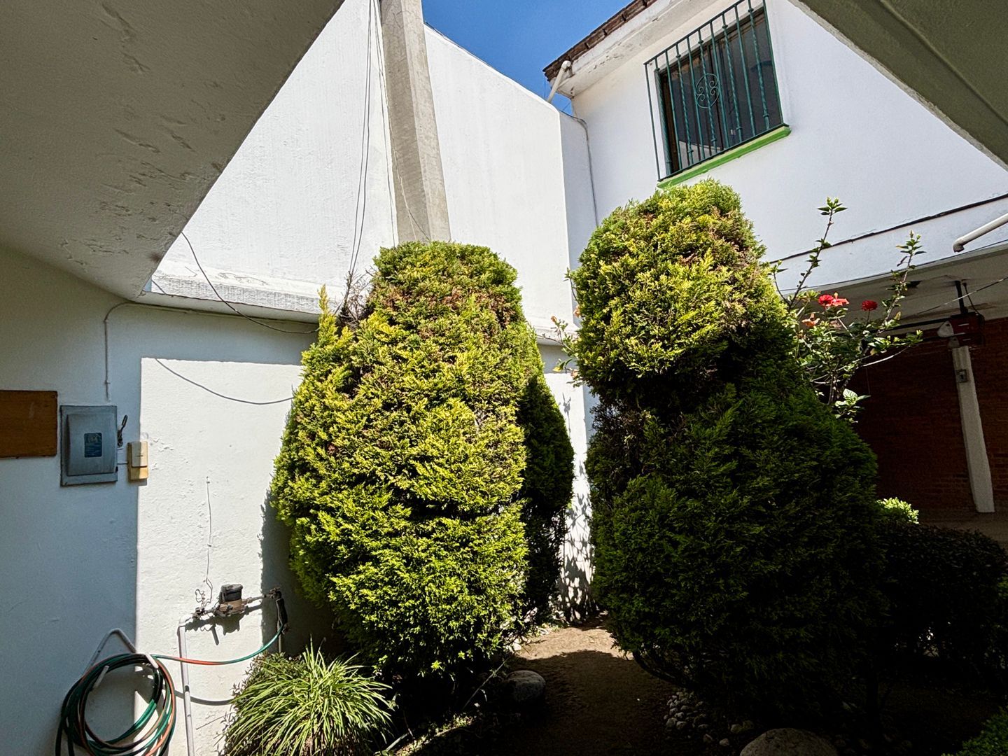 167581B0-6B56-476C-A710-53E844BD6652_1_201_a.jpeg