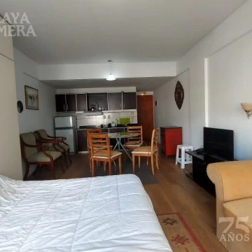 alquiler amoblado monoambiente amplio en pleno Recoleta