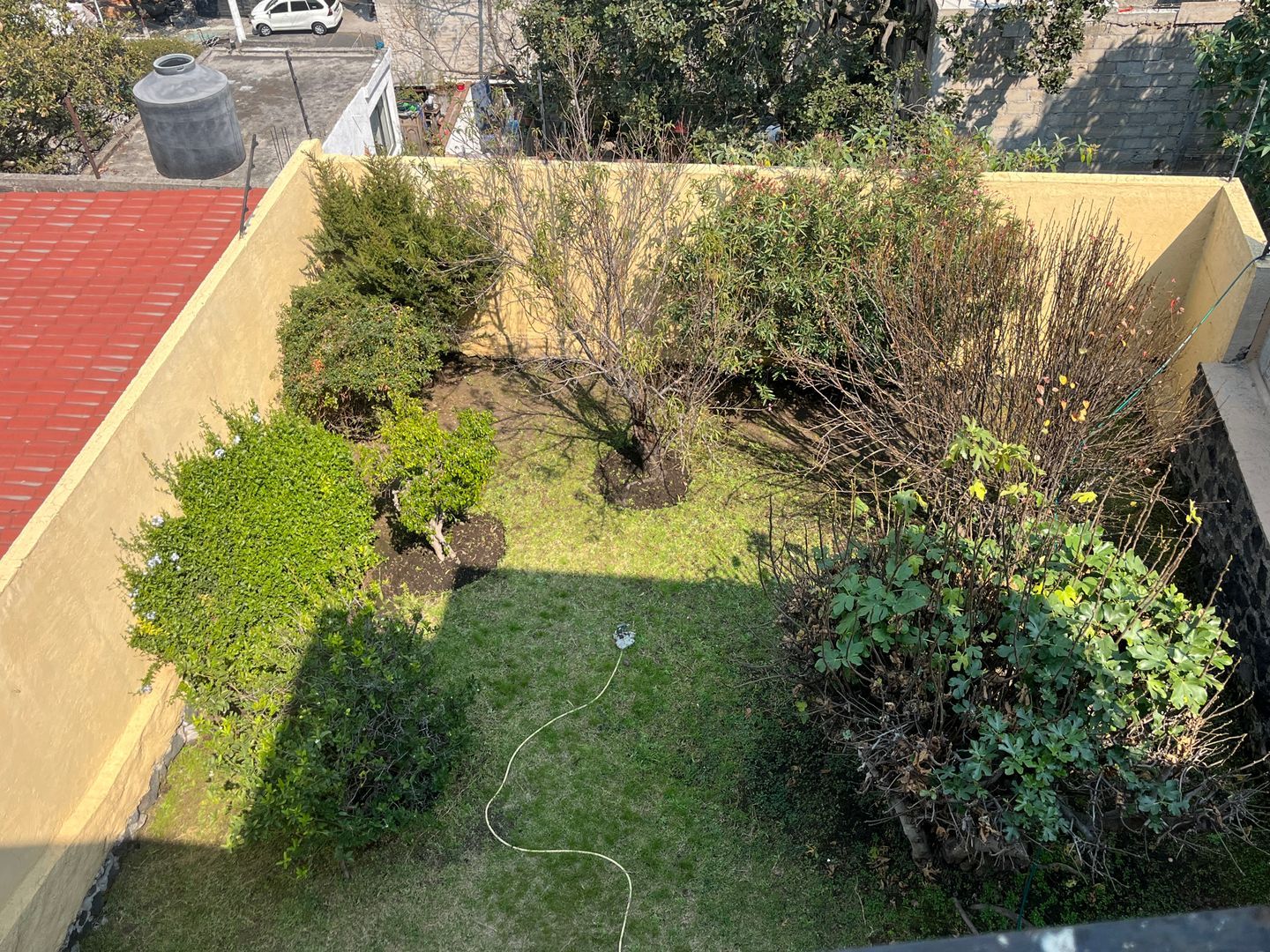 IMG_6893.jpeg