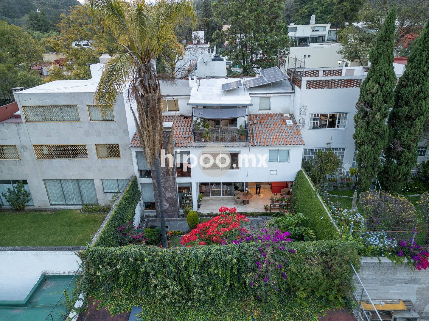 DJI_0083.jpg