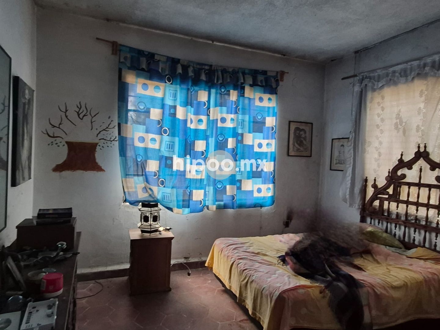 T 34.jpeg