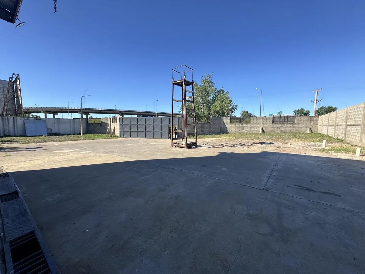 image 6
