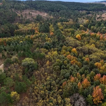 Villa Yacanto - Cordoba - Calamuchita - Lote 105