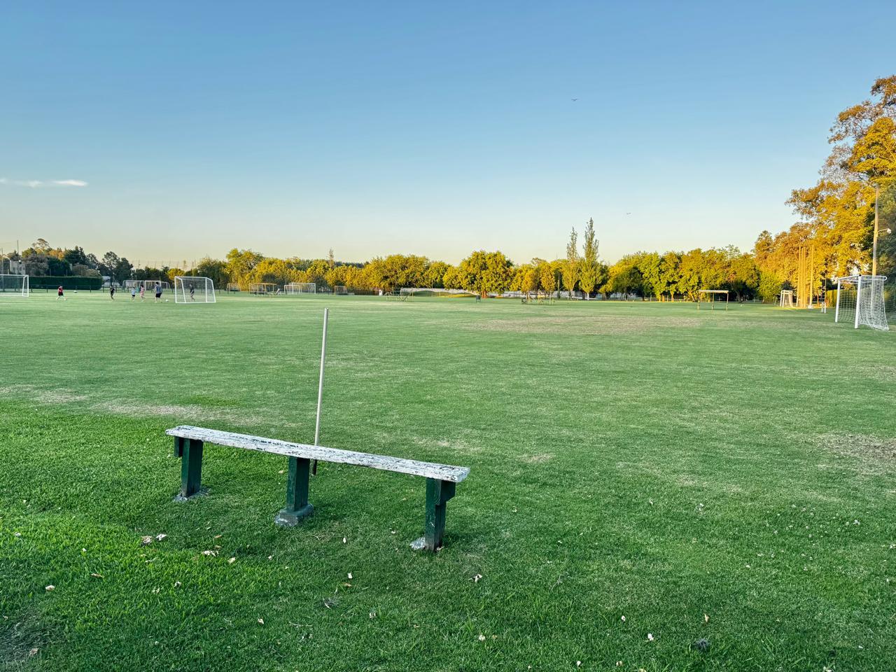 image 65