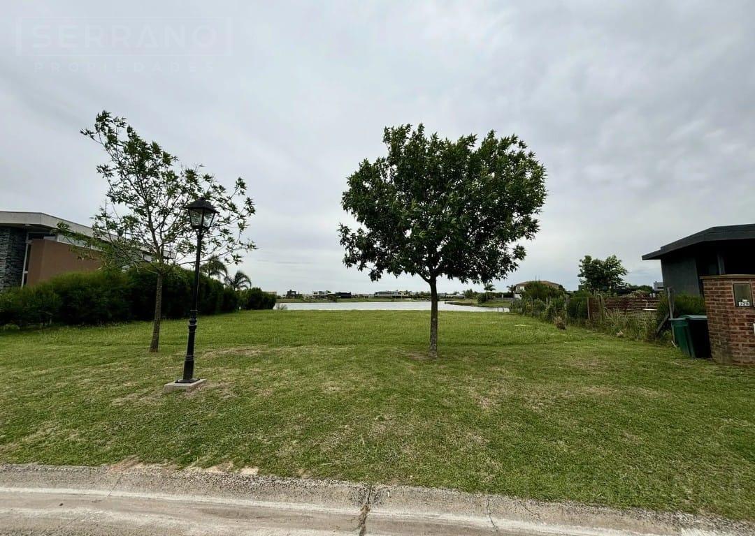 image 22