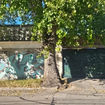 Venta Lote Barrio Villa Primera R4