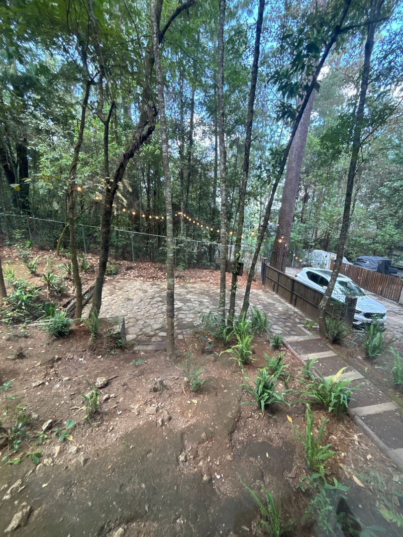 DJI_20251031_125214_432.jpg