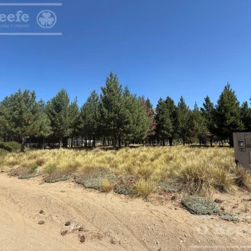 Lote plano en Dos Valle