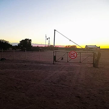 CAMPO EN VTA, 5.061 Has, en EL CUY, departamento de 9 de Julio, RÍO NEGRO