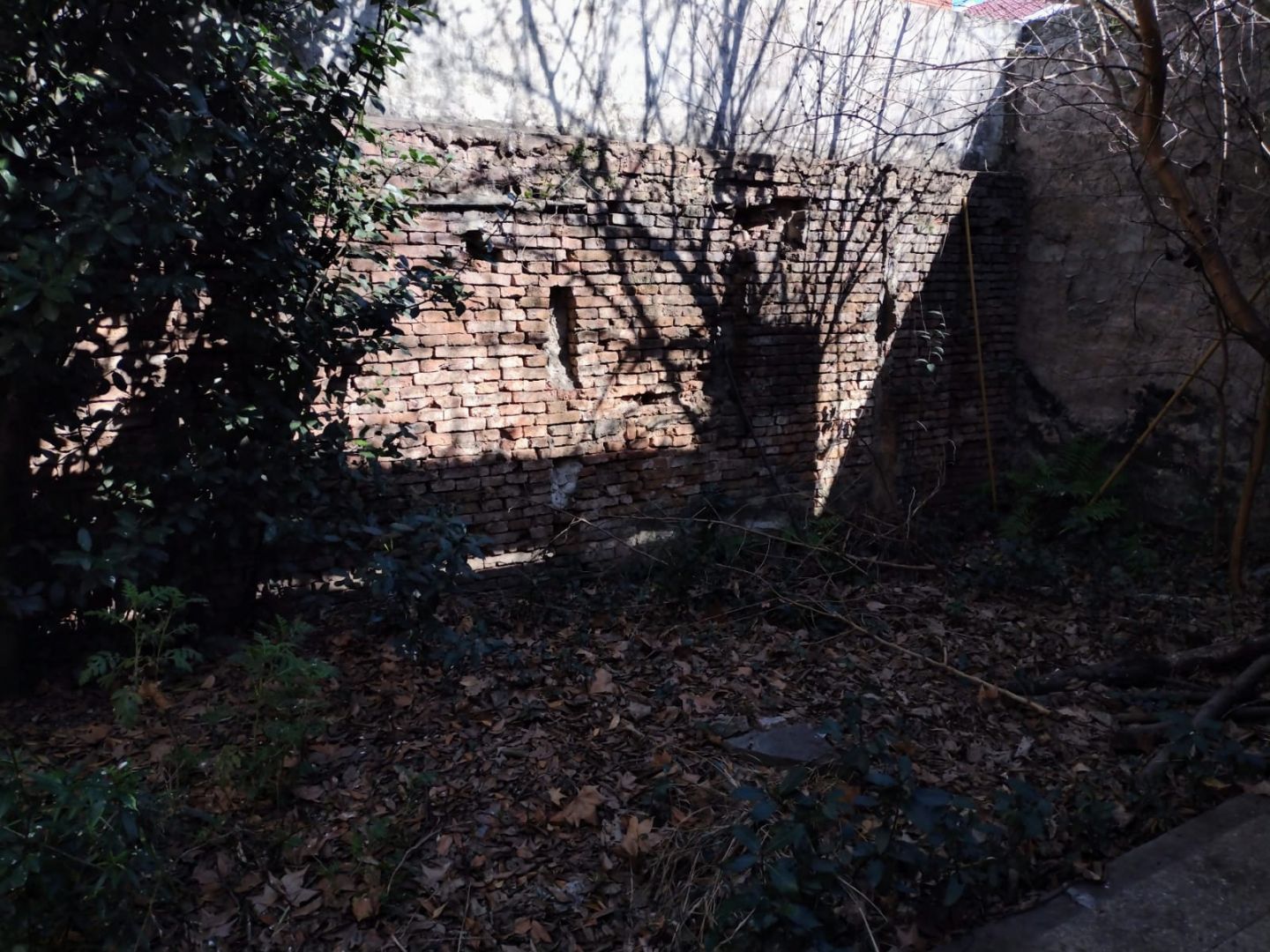 image 19