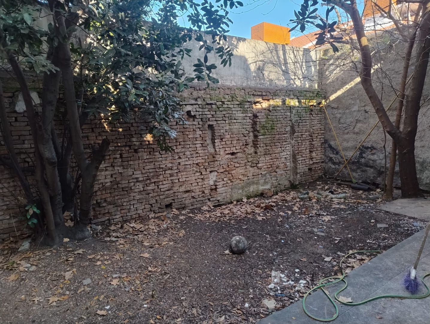 image 25