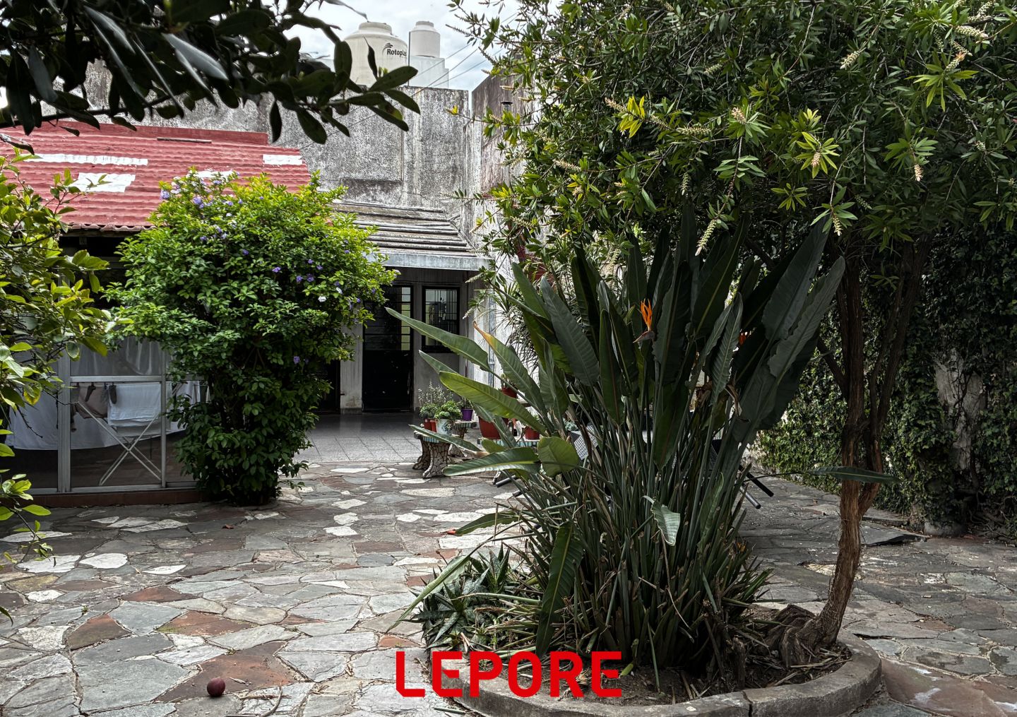 image 35