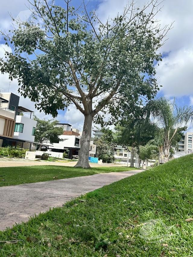 image 15