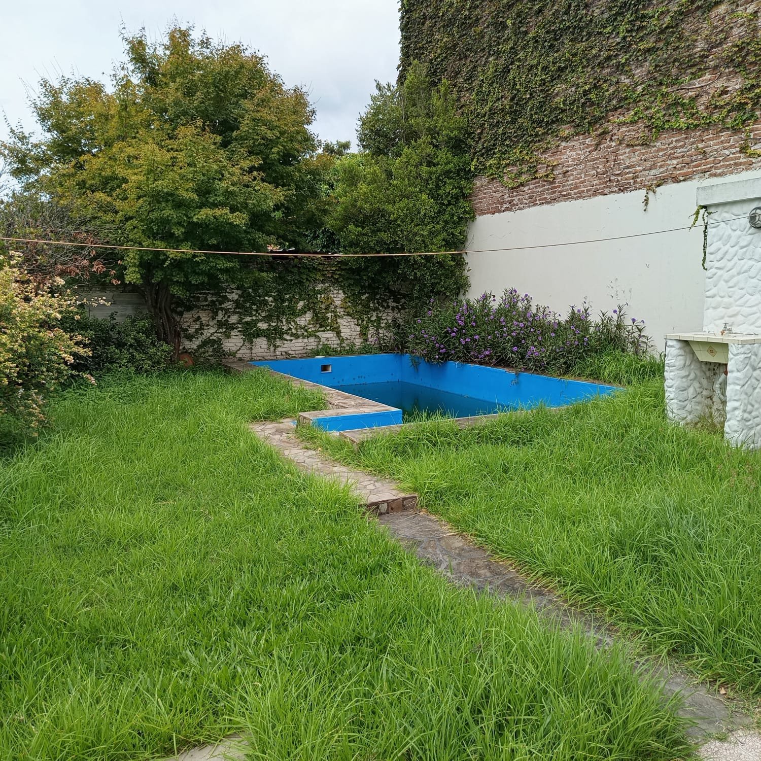 image 14