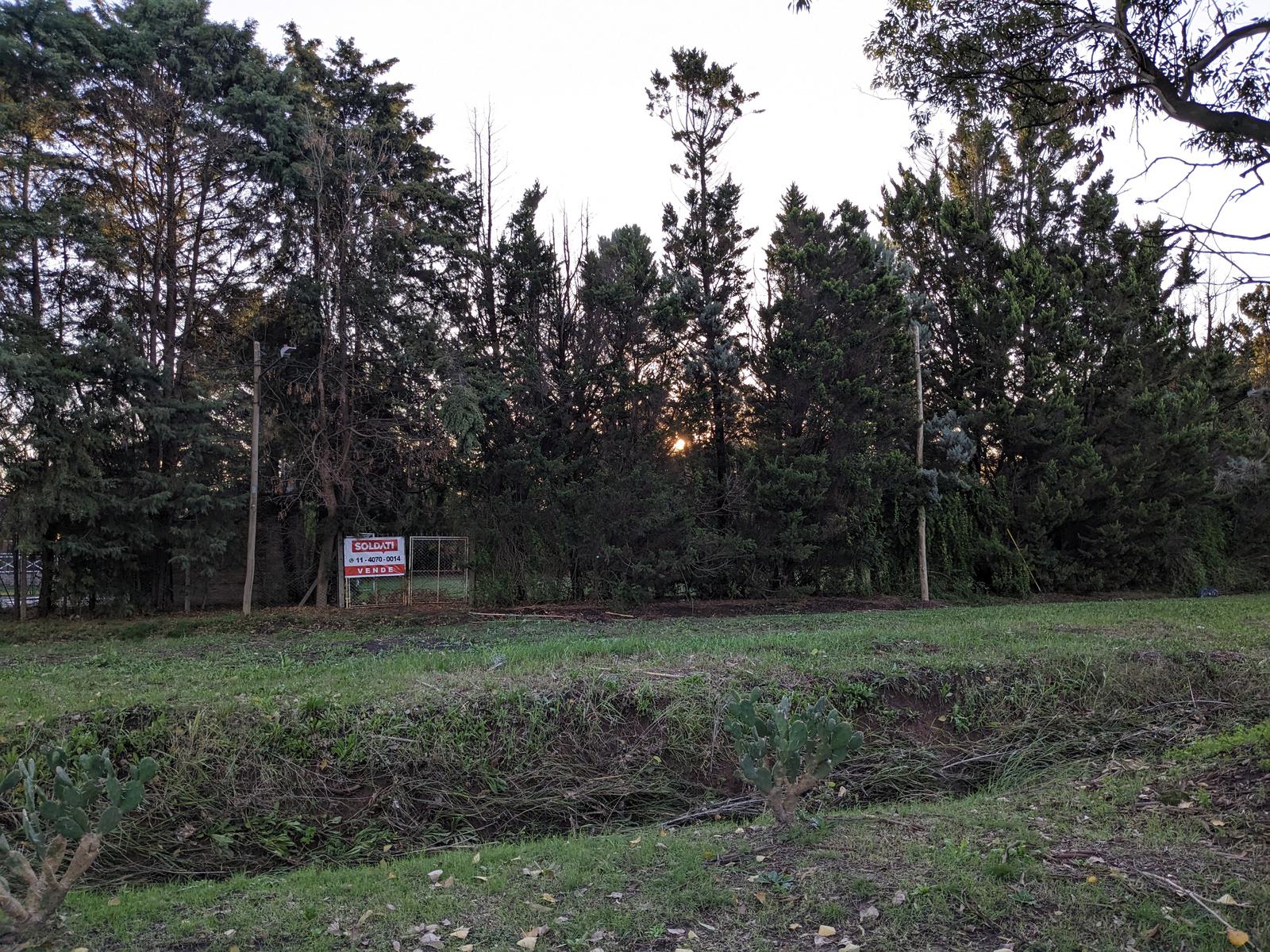image 14