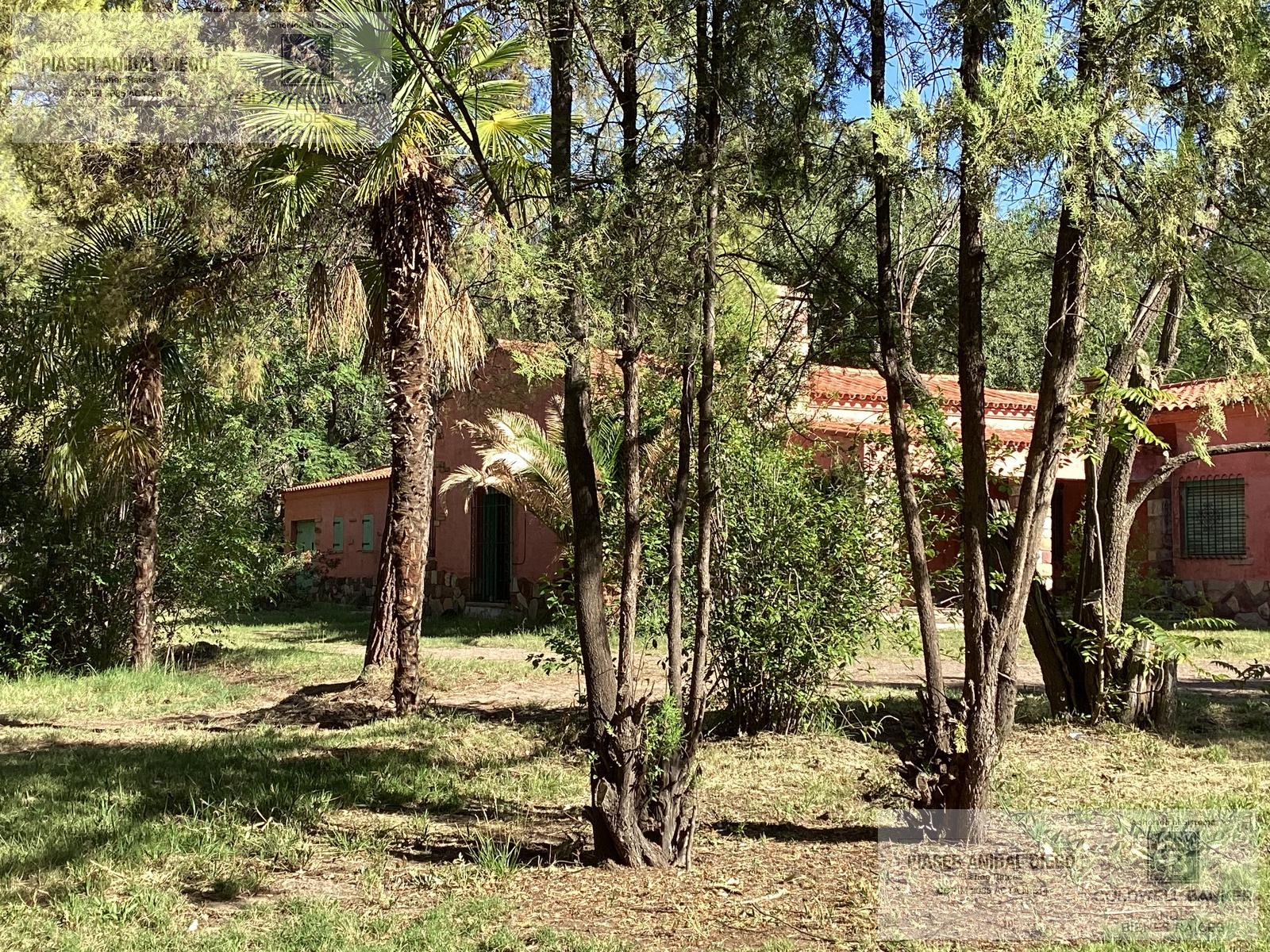 image 35