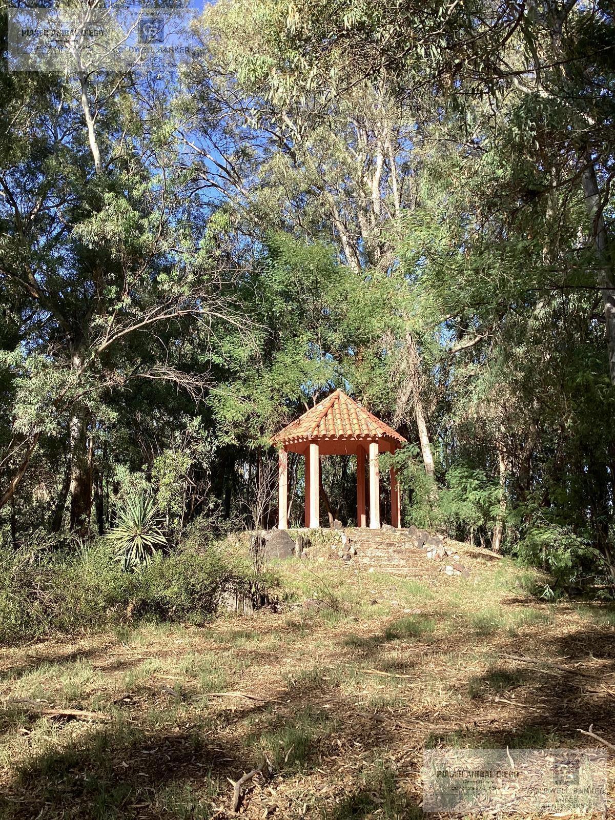 image 36