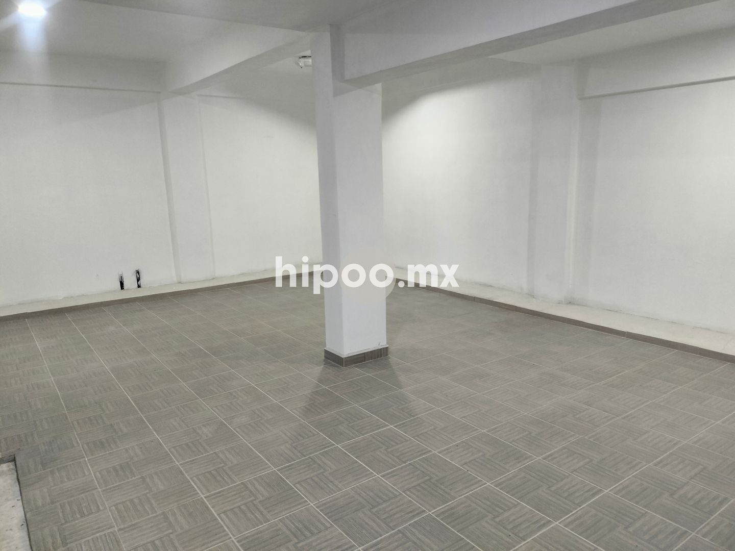 IMG20260121113059.jpg