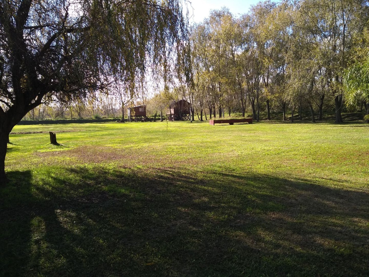 image 42