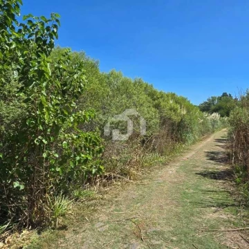 Terreno Lote  en Venta en Villa Rosa, Pilar, G.B.A. Zona Norte