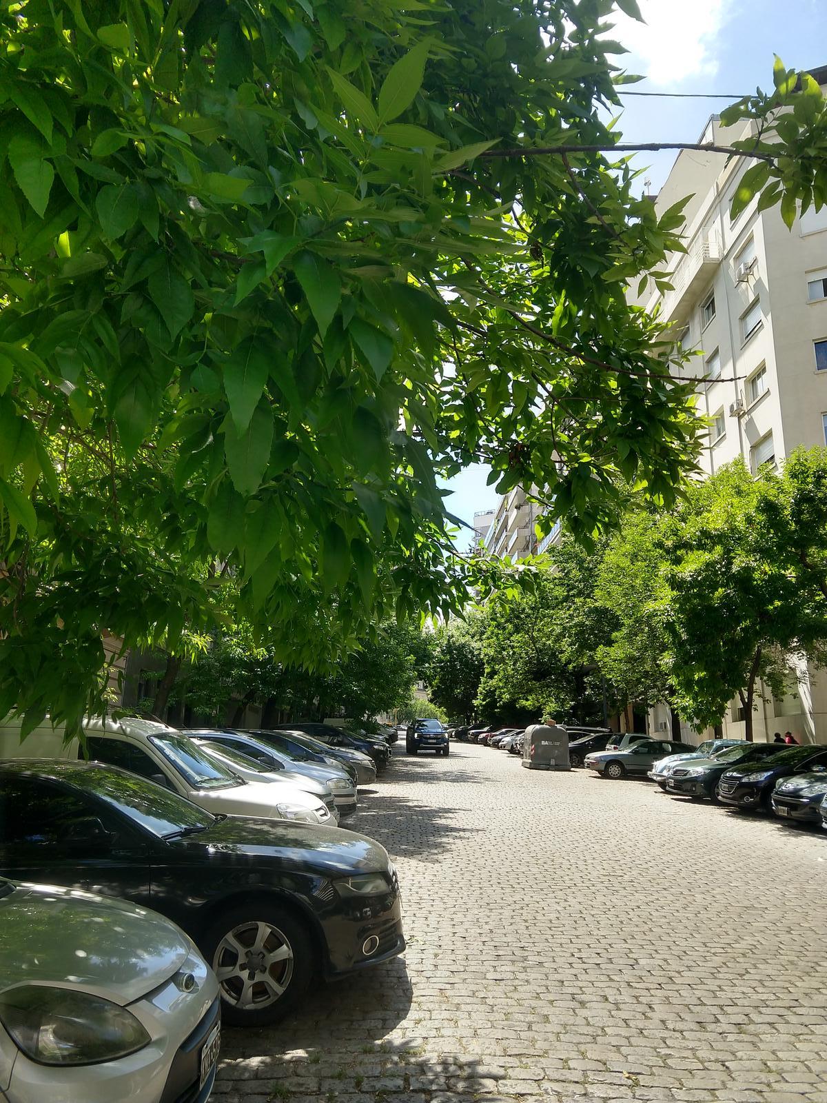 image 36