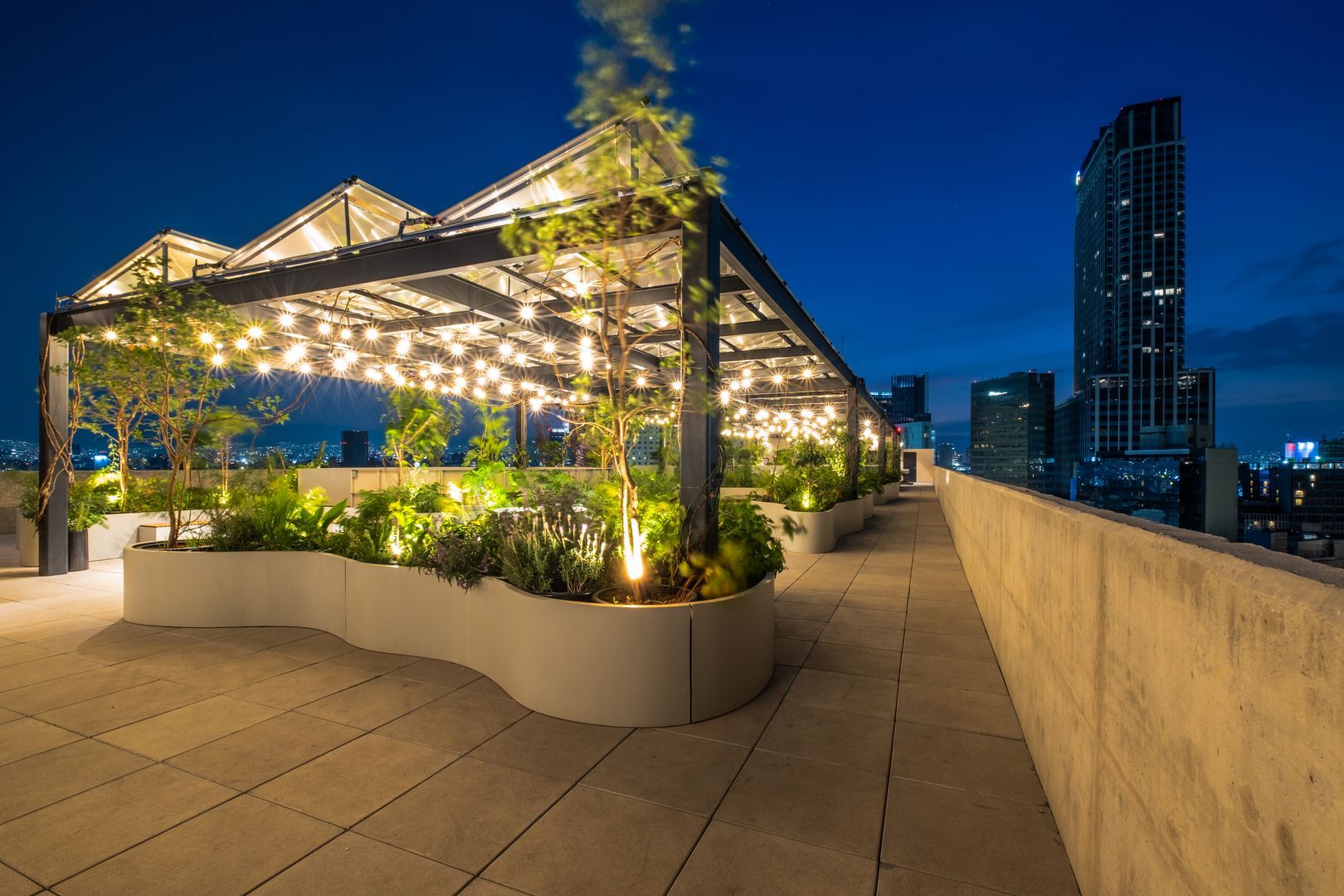 ROOF GARDEN 5.jpg