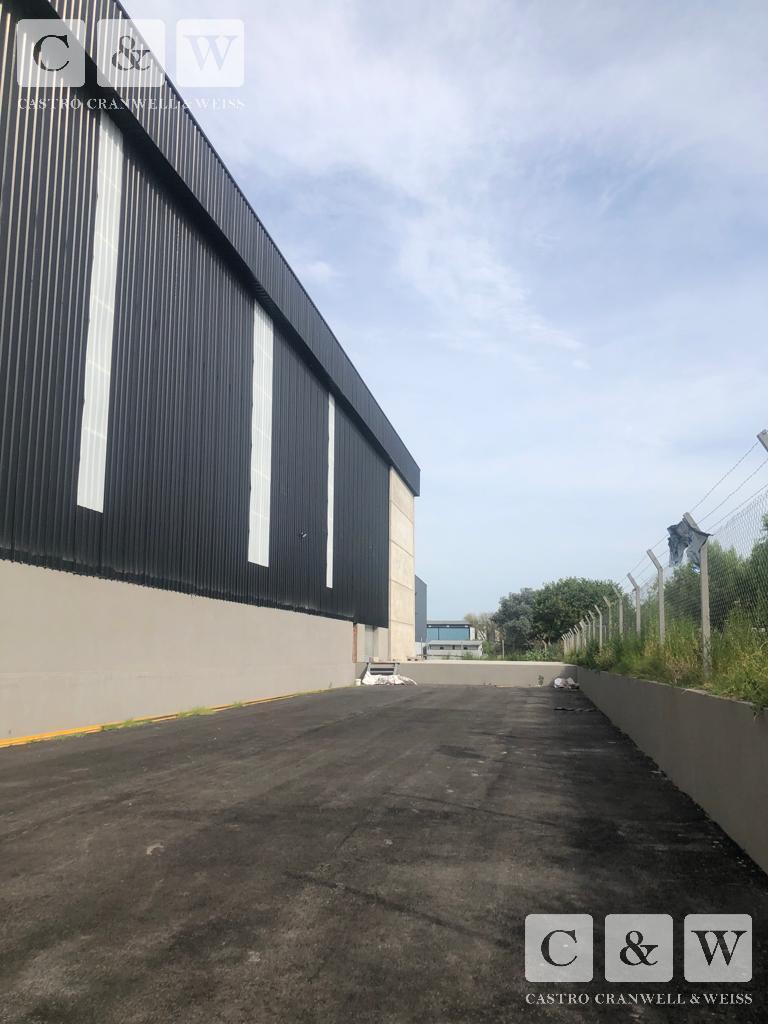 image 15